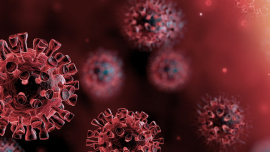 A COVID hamis; Betegek valójában „A” vagy „B” influenzával fertőzöttek